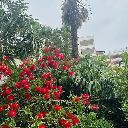 Casa Di David - Maggiore It's A Kind Of Magic! Brissago