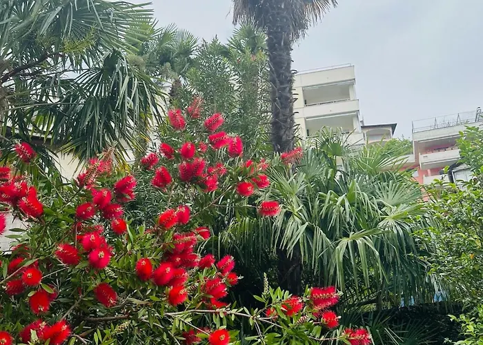 Casa Di David - Maggiore It's A Kind Of Magic! בריסאגו